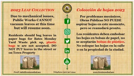 2023 Leaf Collection