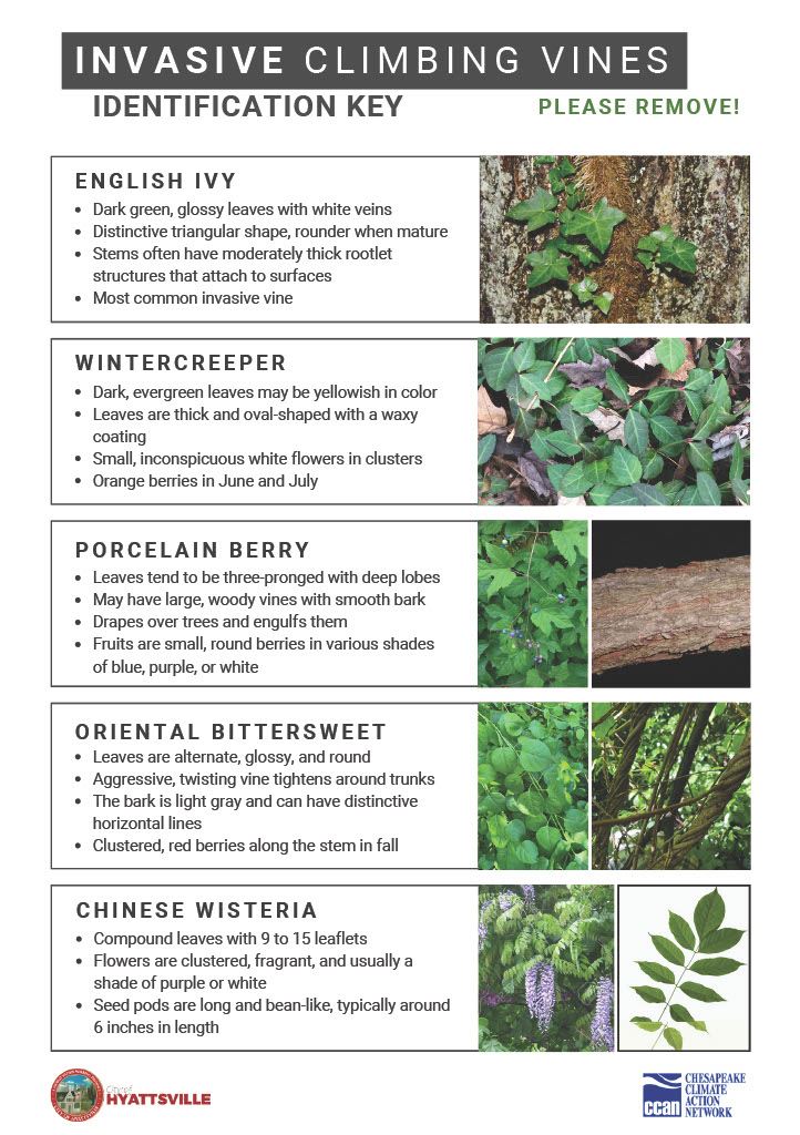 1750687549977-bf888648-6072-4e1c-9009-782d970b3d40_1